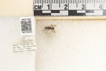 Media type: image;   Entomology 775872 Aspect: Labels